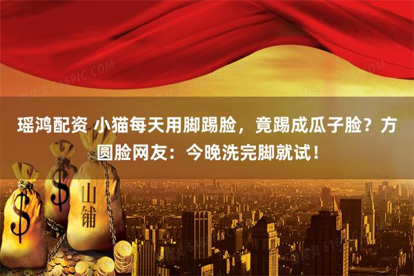 瑶鸿配资 小猫每天用脚踢脸，竟踢成瓜子脸？方圆脸网友：今晚洗完脚就试！